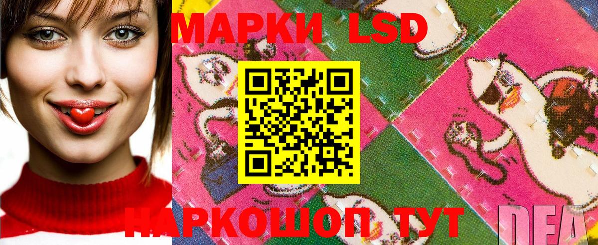 где найти наркотики  Наркотические марки  Вход с VPN  Наркотические марки 1,5мг  Наркотические марки 1,5мг  Гусь-Хрустальный 